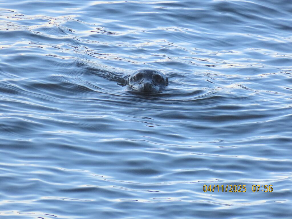 cc1cc0c6-cc5d-436b-8d5b-04676423b559