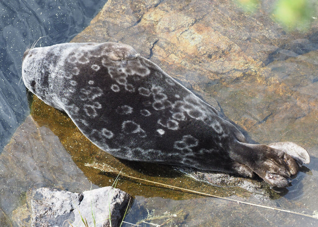 b4a679eb-c937-4cce-b049-07d0f2378531