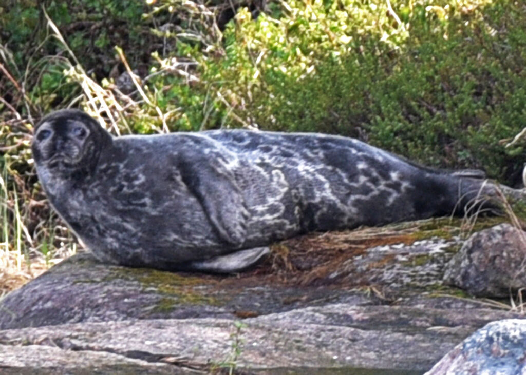 7c4070c6-a154-4e12-b65f-ed51e7384ce0