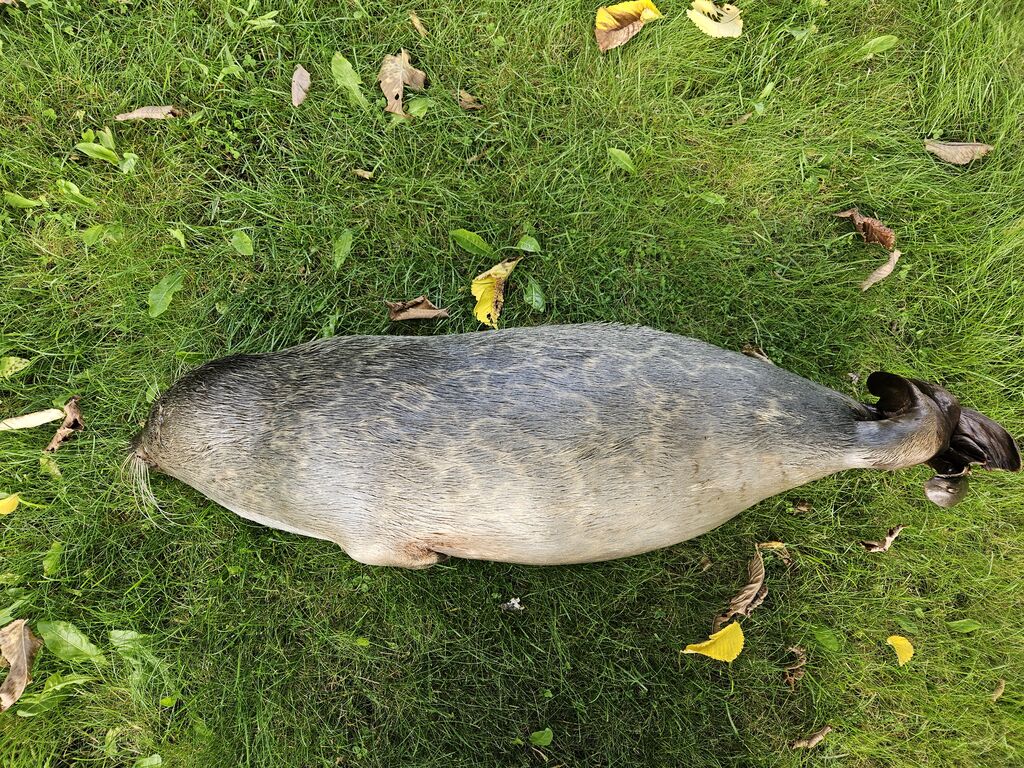 8ada792d-8eb8-473d-89e3-6373e2fe6639