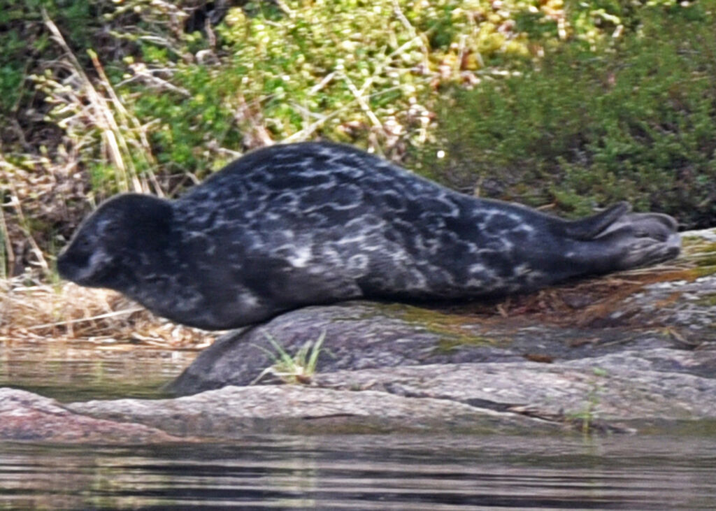 7c4070c6-a154-4e12-b65f-ed51e7384ce0