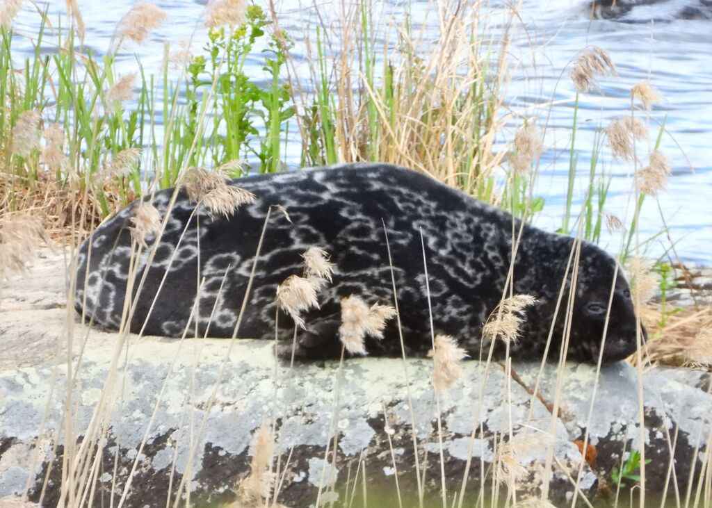 695adc6b-b23d-47d3-8387-7f730fc58730