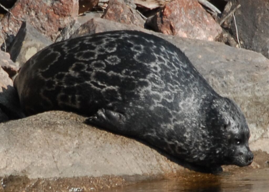 6db223a9-d25c-40a8-9d81-68c6de5406d5