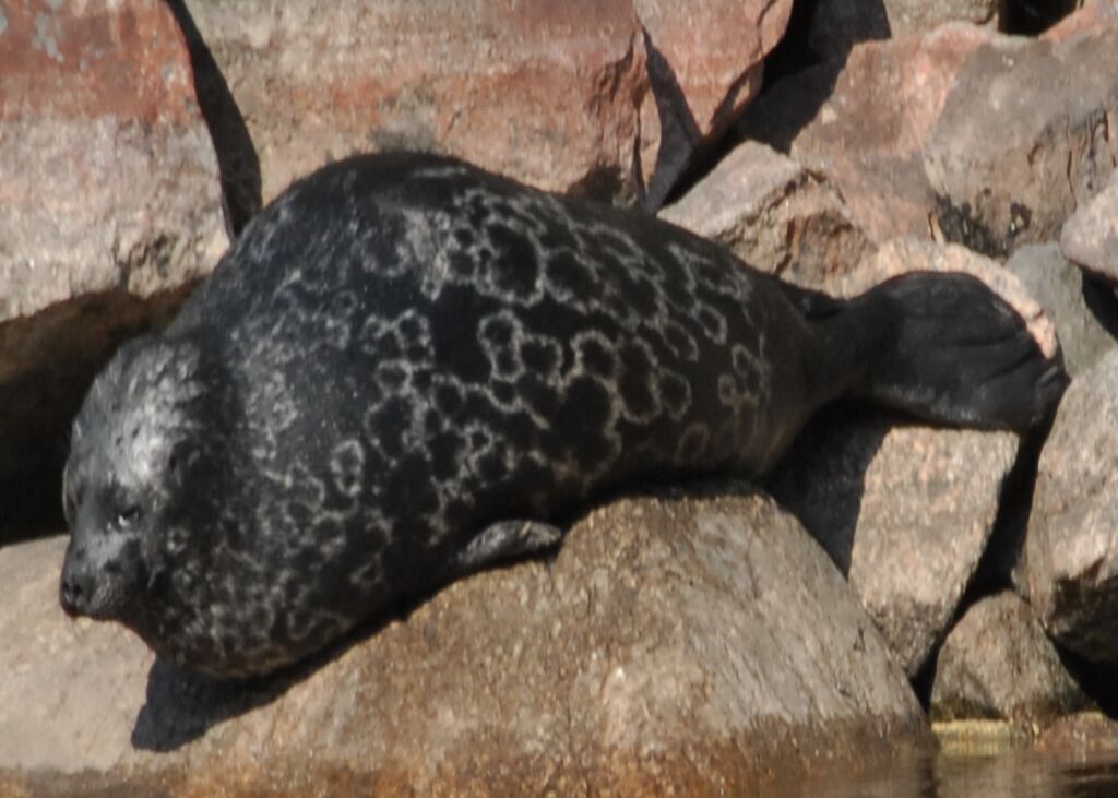 6db223a9-d25c-40a8-9d81-68c6de5406d5