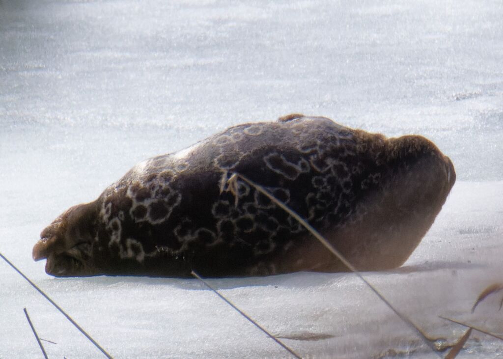 695adc6b-b23d-47d3-8387-7f730fc58730