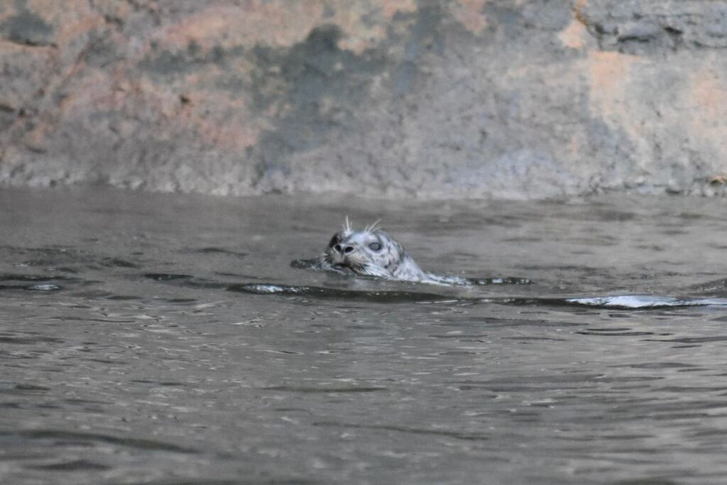 f91f4a4e-9170-4196-bf0e-0aa337bd0529