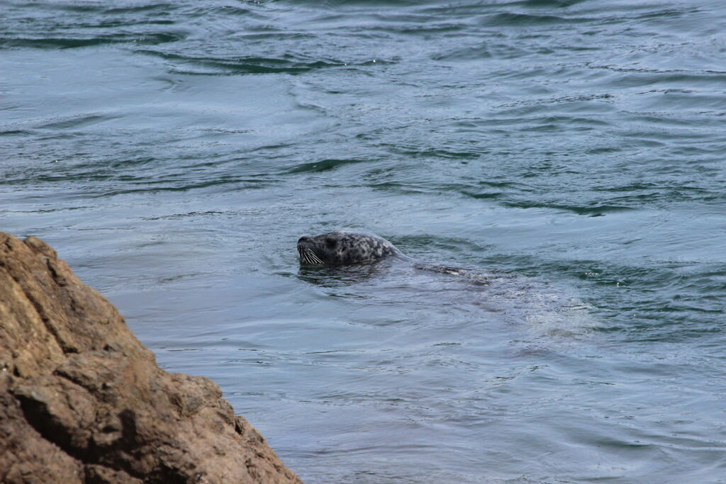 539816a2-ff66-4746-b746-d4945a2dcccc