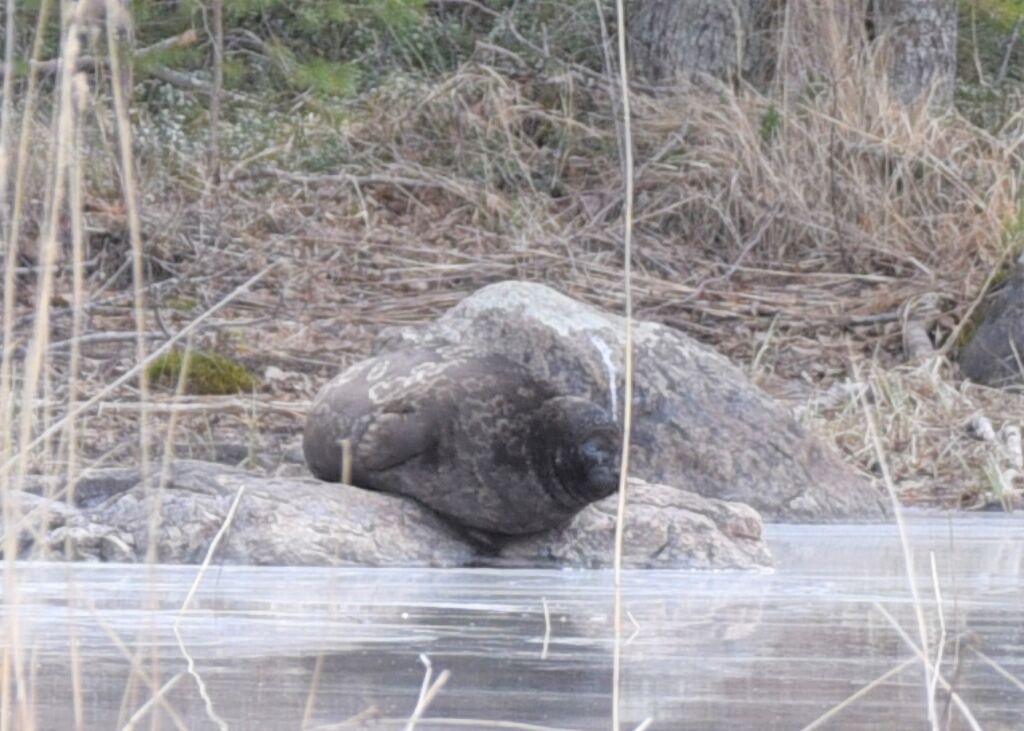 c4f3098e-8a72-4d0b-afda-6cc30b916d15