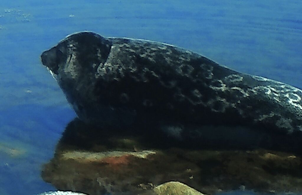 2aa64269-f47a-48b1-a90f-32f604993e4a