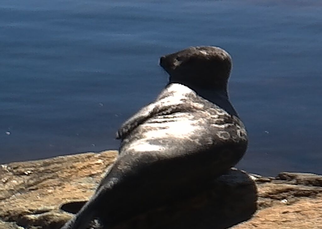 62488599-3b89-4102-82ae-6d70ef31bcac