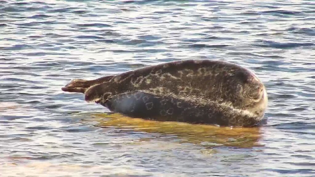 2aa64269-f47a-48b1-a90f-32f604993e4a