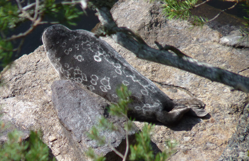 b4a679eb-c937-4cce-b049-07d0f2378531