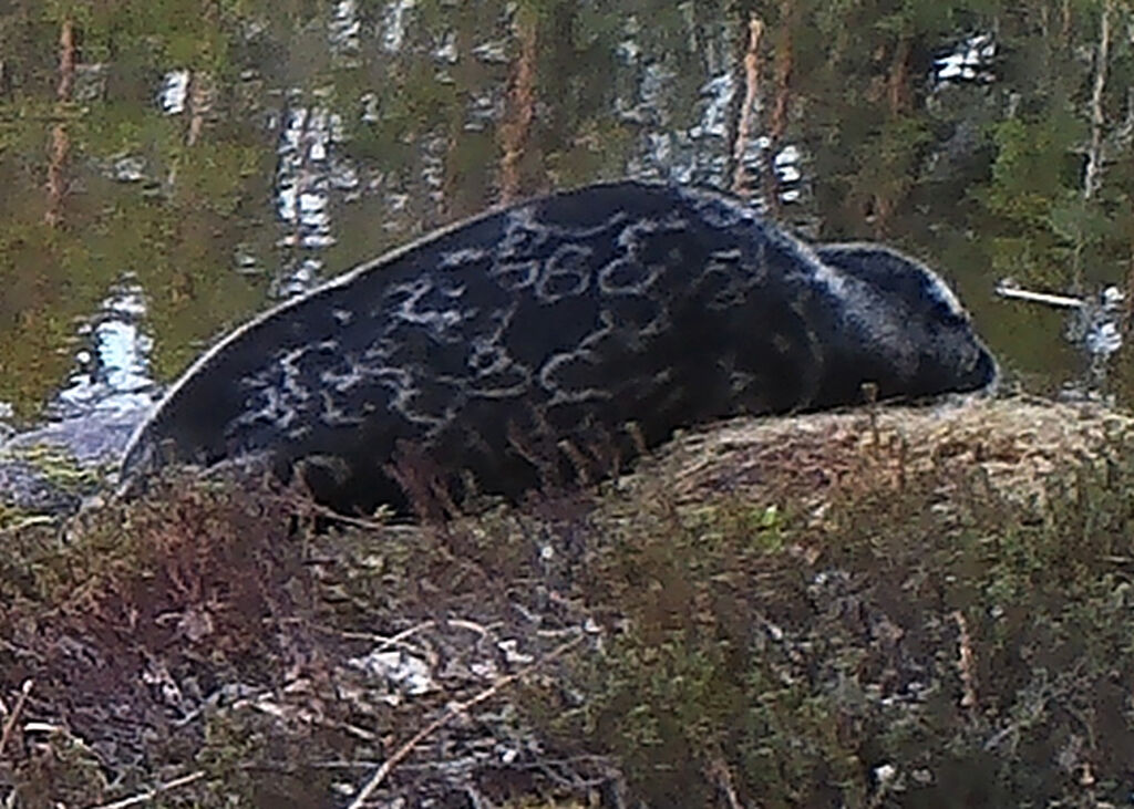 7c4070c6-a154-4e12-b65f-ed51e7384ce0