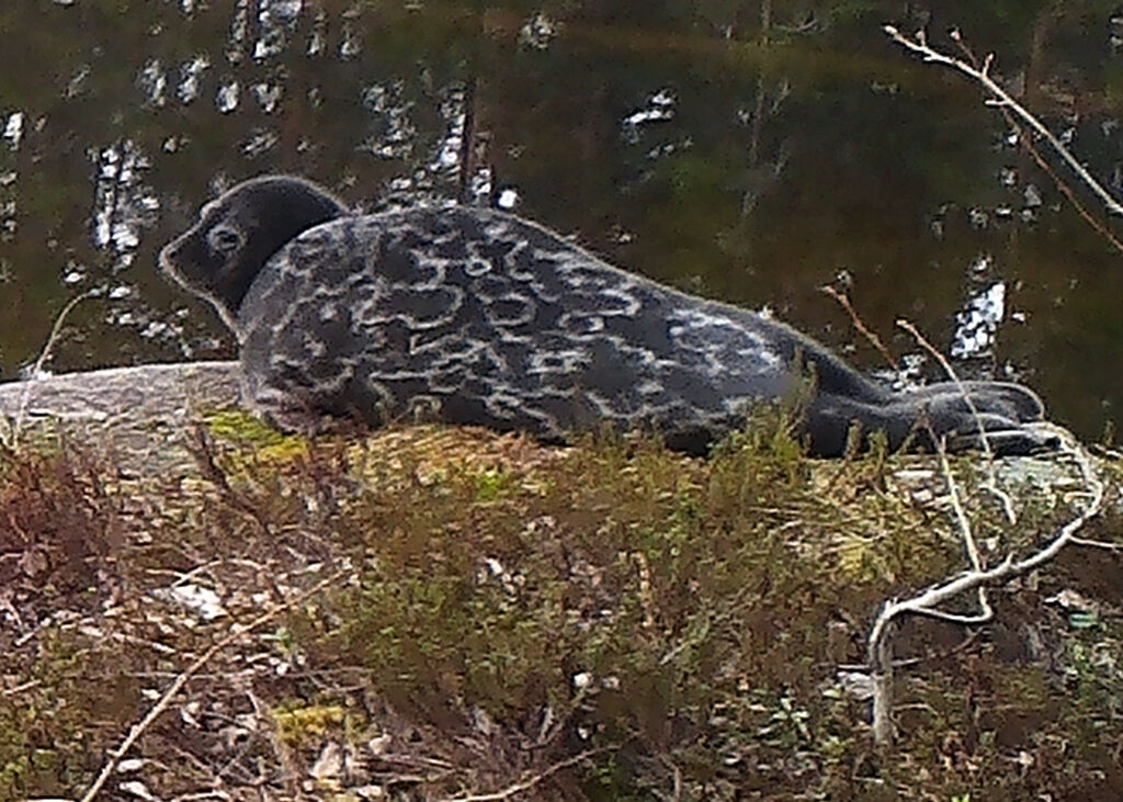 7c4070c6-a154-4e12-b65f-ed51e7384ce0