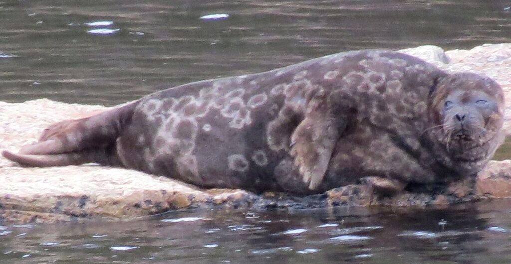 b4a679eb-c937-4cce-b049-07d0f2378531