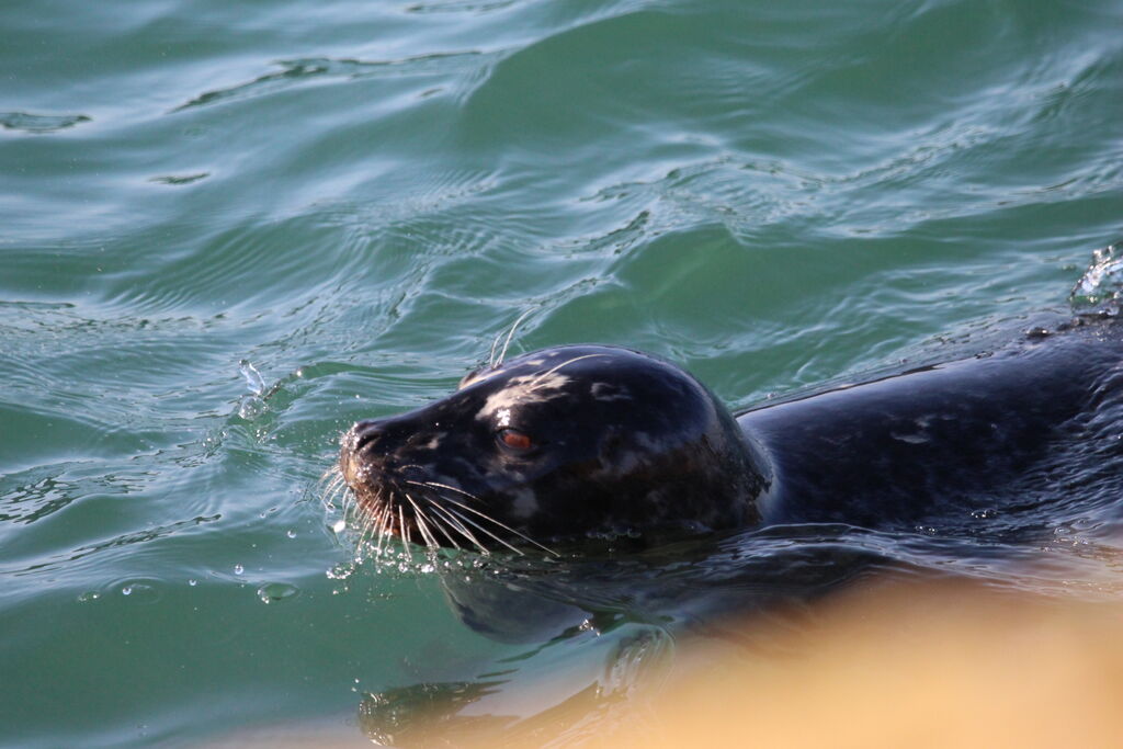 994aa2c0-a472-4b3b-a94a-cc37d2bc1e0d