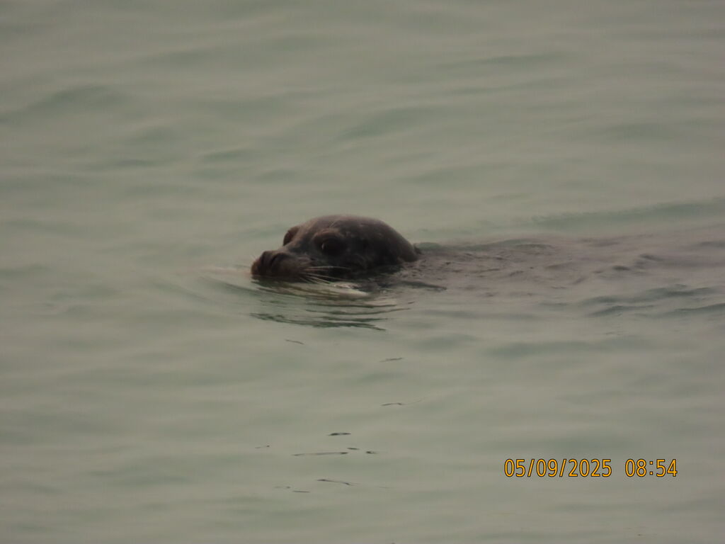 cc1cc0c6-cc5d-436b-8d5b-04676423b559