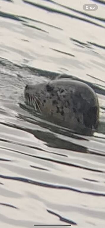 d0f710f0-fa93-4426-a71c-451b05ae202f