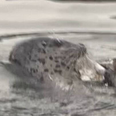 d0f710f0-fa93-4426-a71c-451b05ae202f