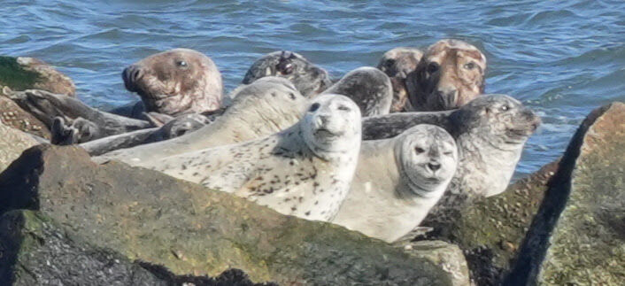 b0e18c9b-1ad8-480c-b0cb-b0da2f59b41c