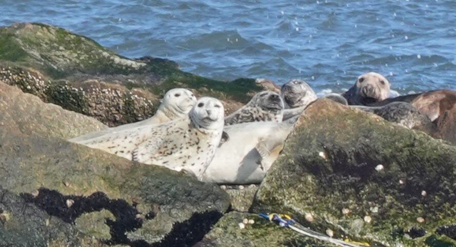 b0e18c9b-1ad8-480c-b0cb-b0da2f59b41c