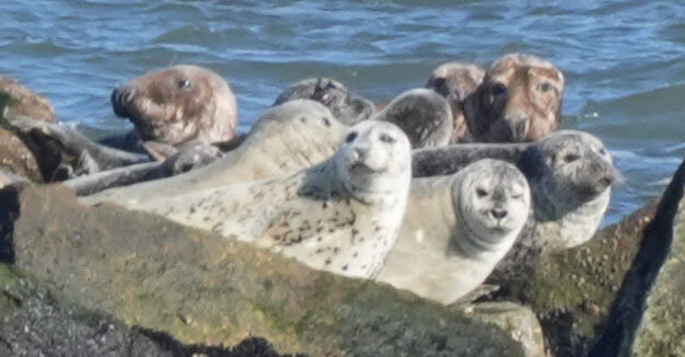 b0e18c9b-1ad8-480c-b0cb-b0da2f59b41c