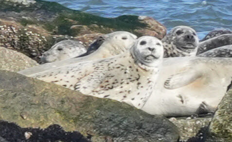 b0e18c9b-1ad8-480c-b0cb-b0da2f59b41c