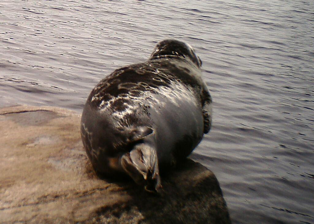 3521fedf-5a5b-4dbe-ac5b-8d96b9d0f67f