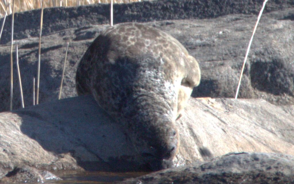 3521fedf-5a5b-4dbe-ac5b-8d96b9d0f67f