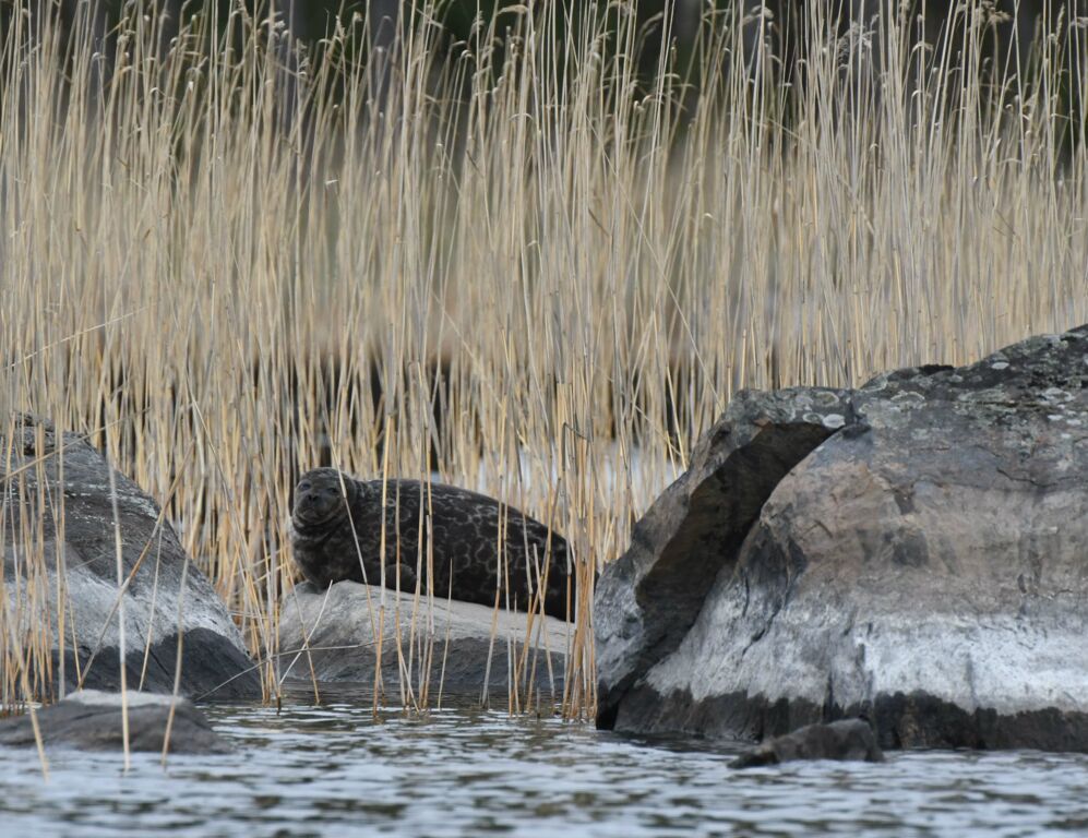 5ebd71cb-5c83-45fb-8b37-196f43a2322a