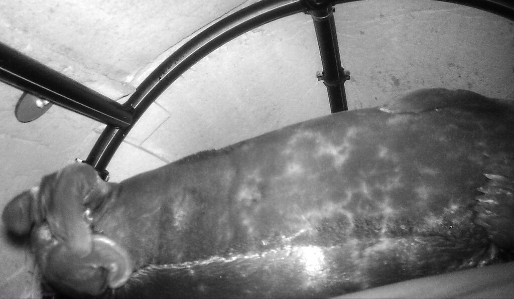 cb93aade-de9d-4c48-9549-37b537741c50