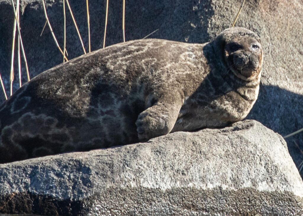 5ebd71cb-5c83-45fb-8b37-196f43a2322a