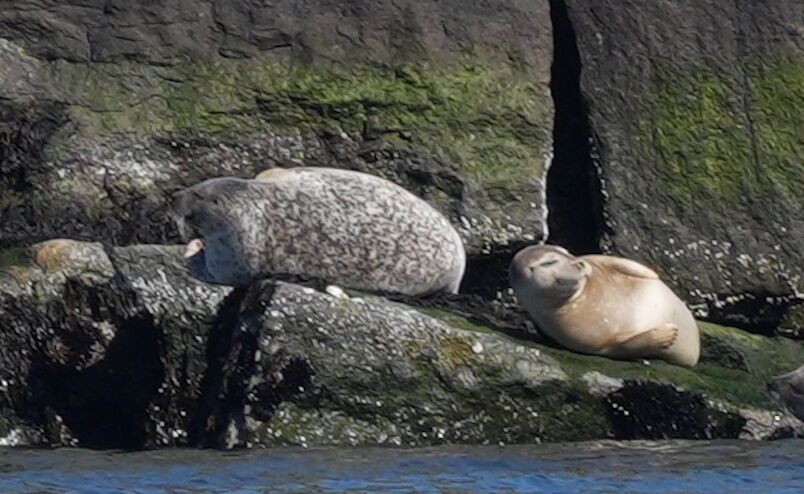 77068b1c-6328-4d35-bbc3-e74114233c4d