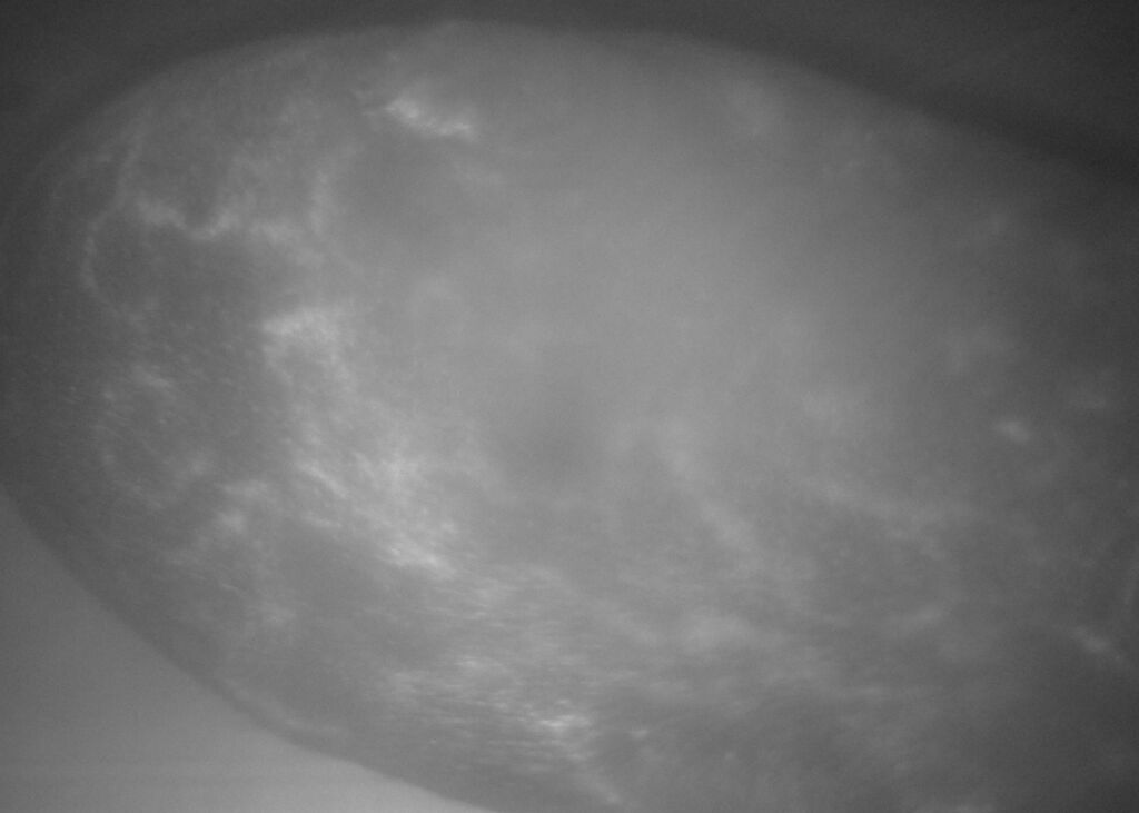 cb93aade-de9d-4c48-9549-37b537741c50