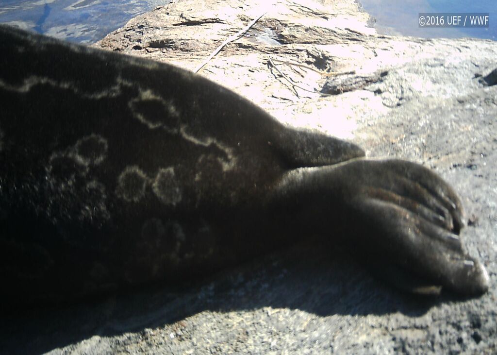 c4f3098e-8a72-4d0b-afda-6cc30b916d15