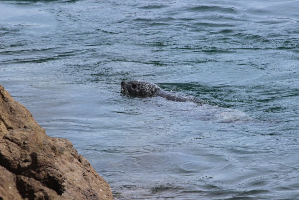 539816a2-ff66-4746-b746-d4945a2dcccc