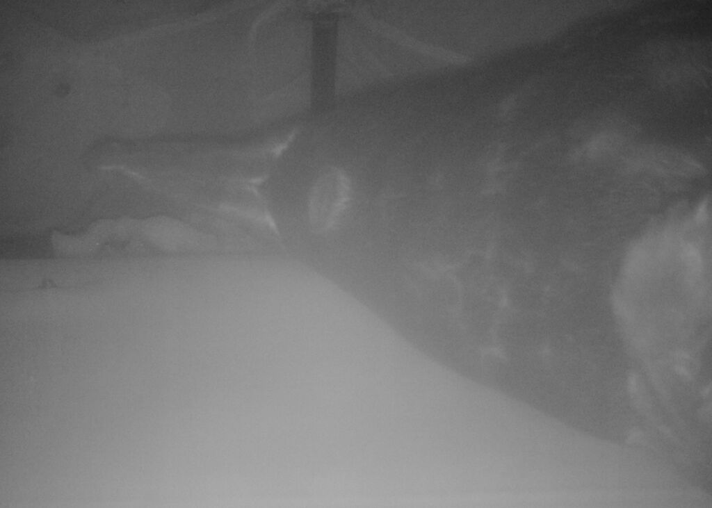 cb93aade-de9d-4c48-9549-37b537741c50