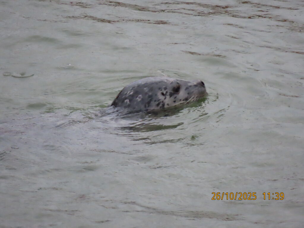 d0f710f0-fa93-4426-a71c-451b05ae202f