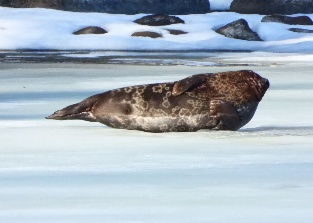 695adc6b-b23d-47d3-8387-7f730fc58730