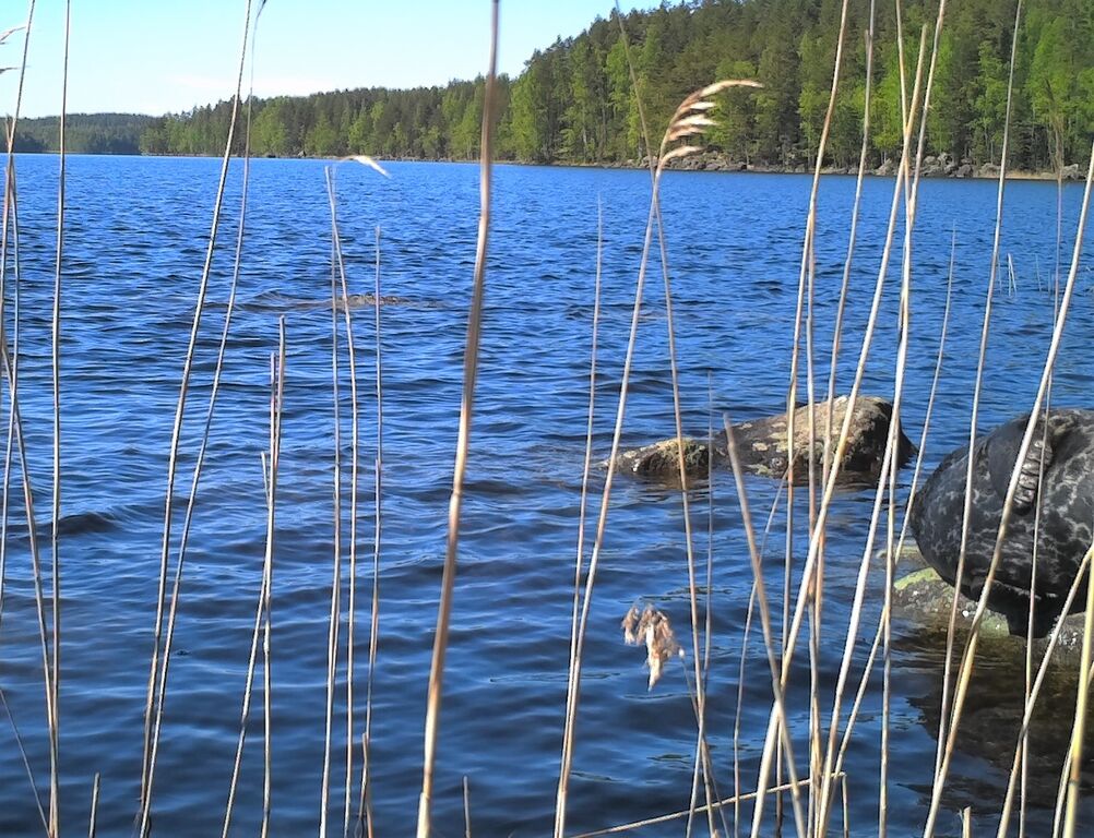 5ebd71cb-5c83-45fb-8b37-196f43a2322a