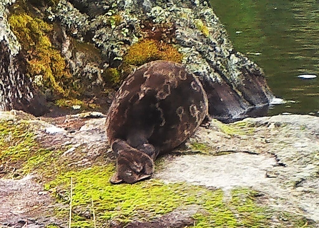 c4f3098e-8a72-4d0b-afda-6cc30b916d15