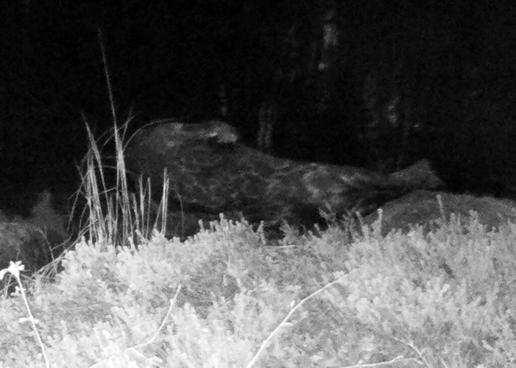 7c4070c6-a154-4e12-b65f-ed51e7384ce0