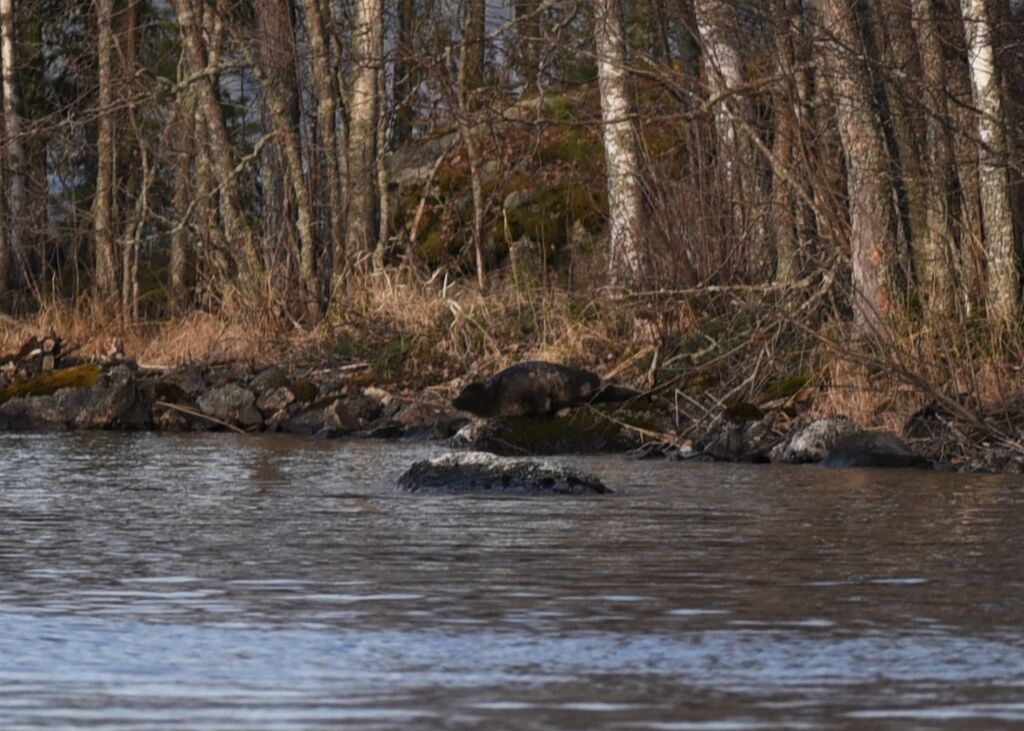 62488599-3b89-4102-82ae-6d70ef31bcac