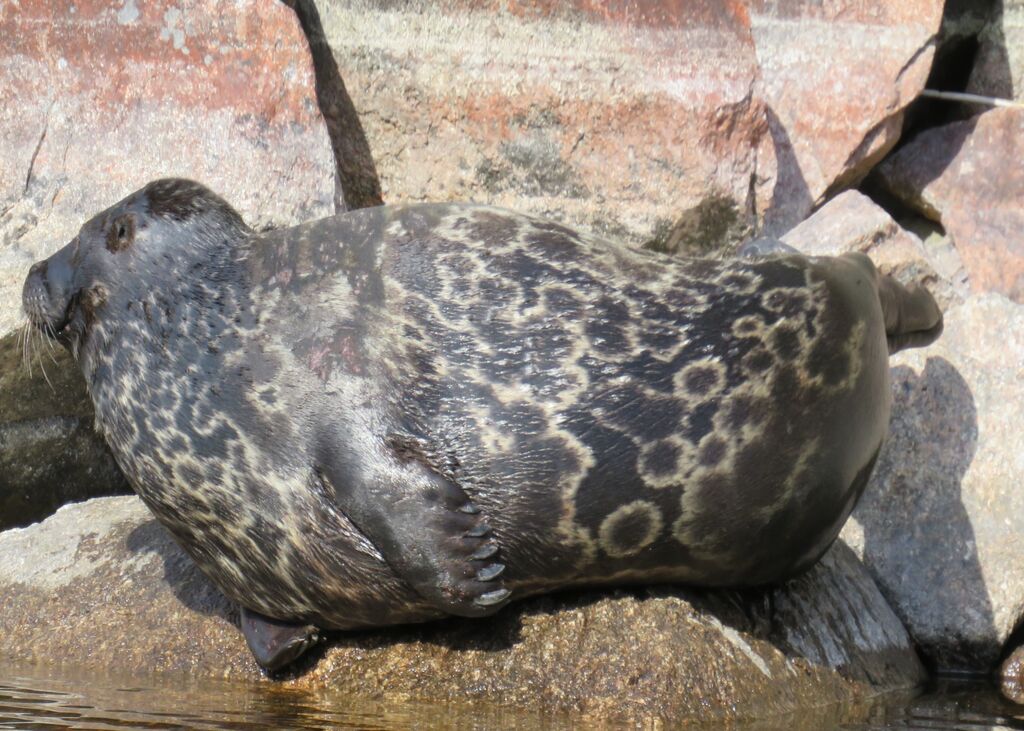 6db223a9-d25c-40a8-9d81-68c6de5406d5