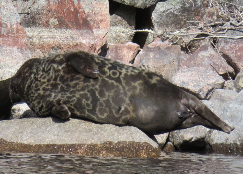 6db223a9-d25c-40a8-9d81-68c6de5406d5