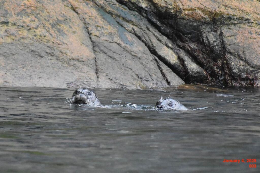 f91f4a4e-9170-4196-bf0e-0aa337bd0529