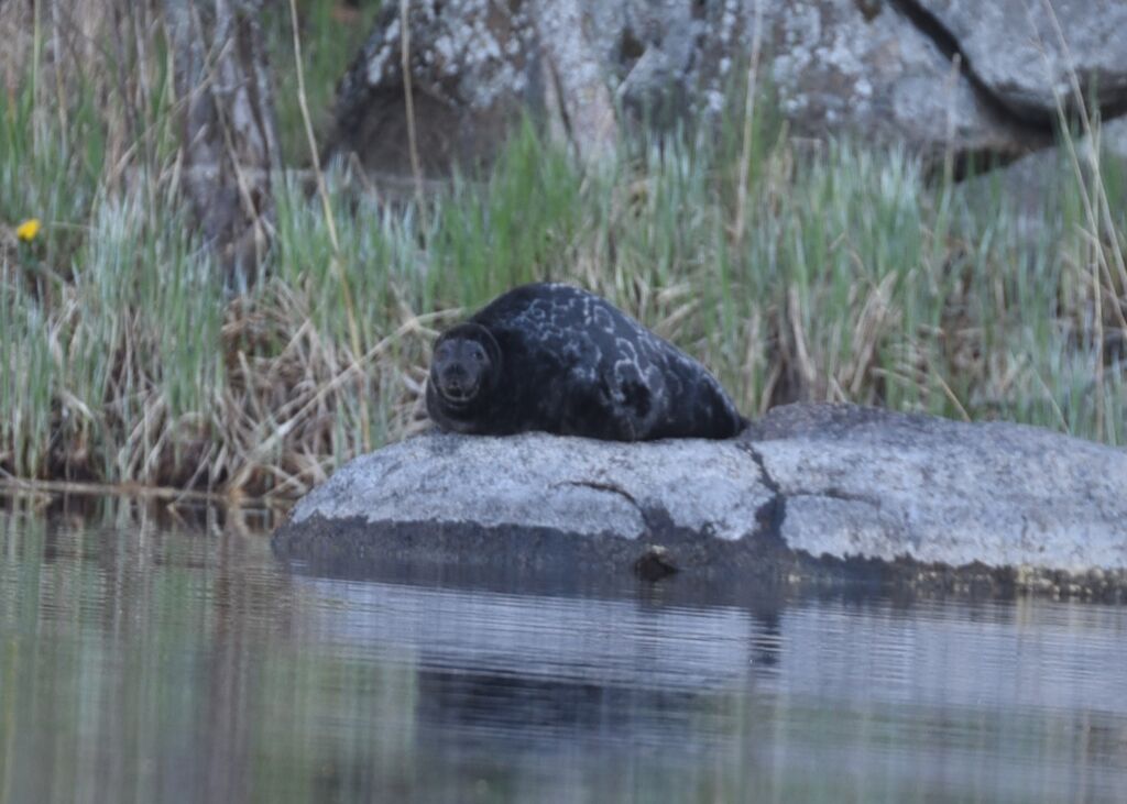 cb93aade-de9d-4c48-9549-37b537741c50