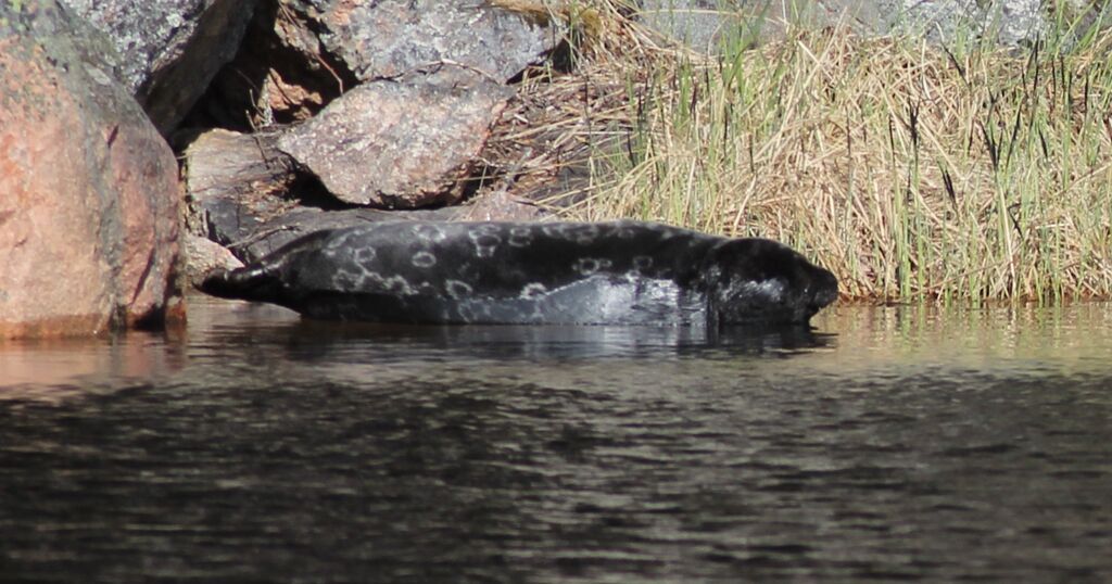 b4a679eb-c937-4cce-b049-07d0f2378531