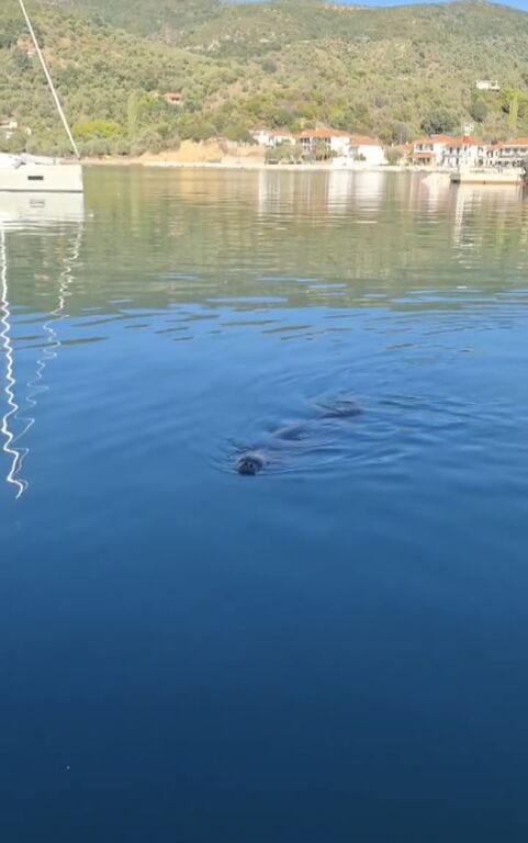 2ef3e0a9-3bc7-46fa-afd4-b0d8a3195322