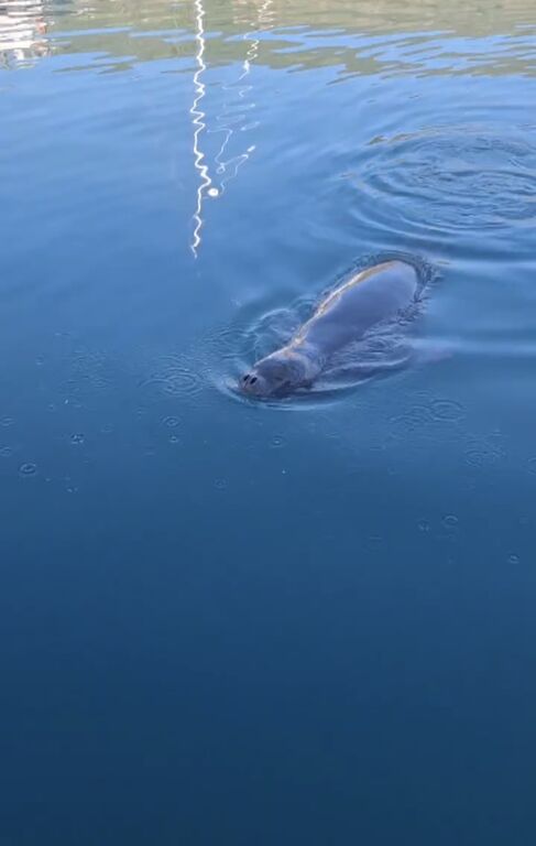 2ef3e0a9-3bc7-46fa-afd4-b0d8a3195322